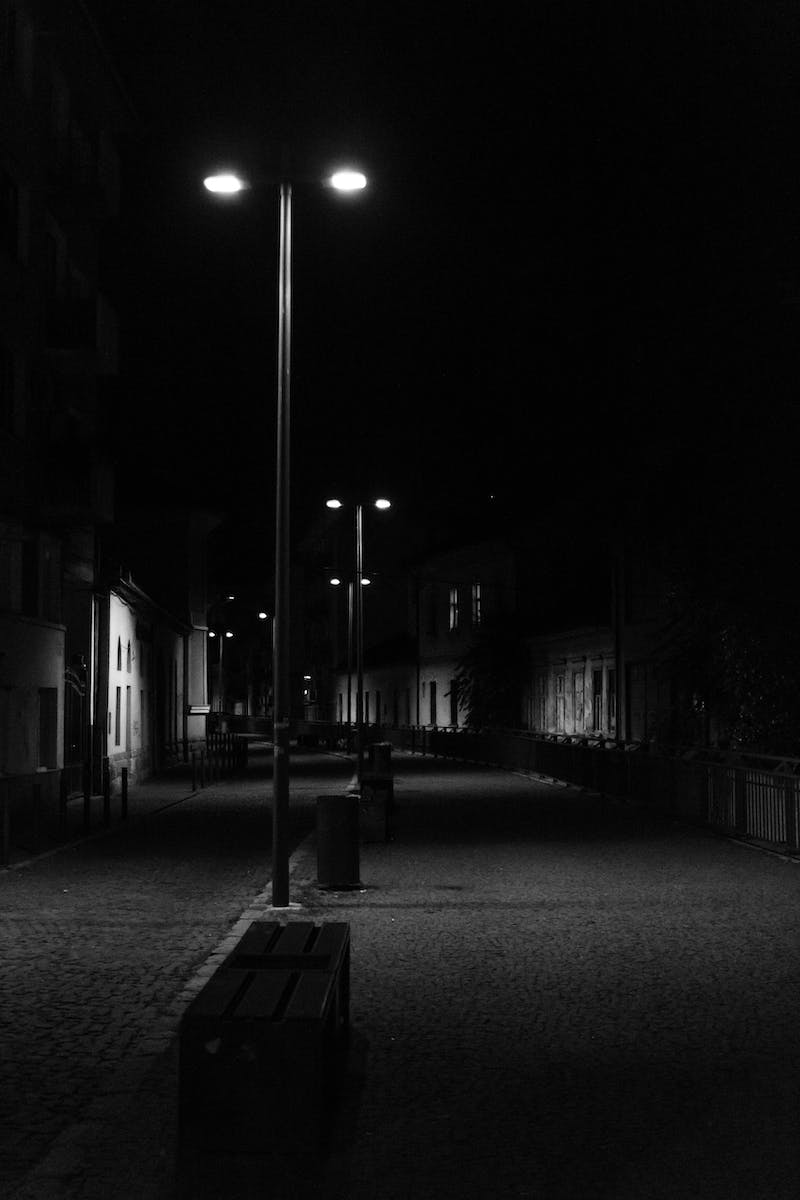 Grayscale Photography of Street Lights Along the Road Between Houses