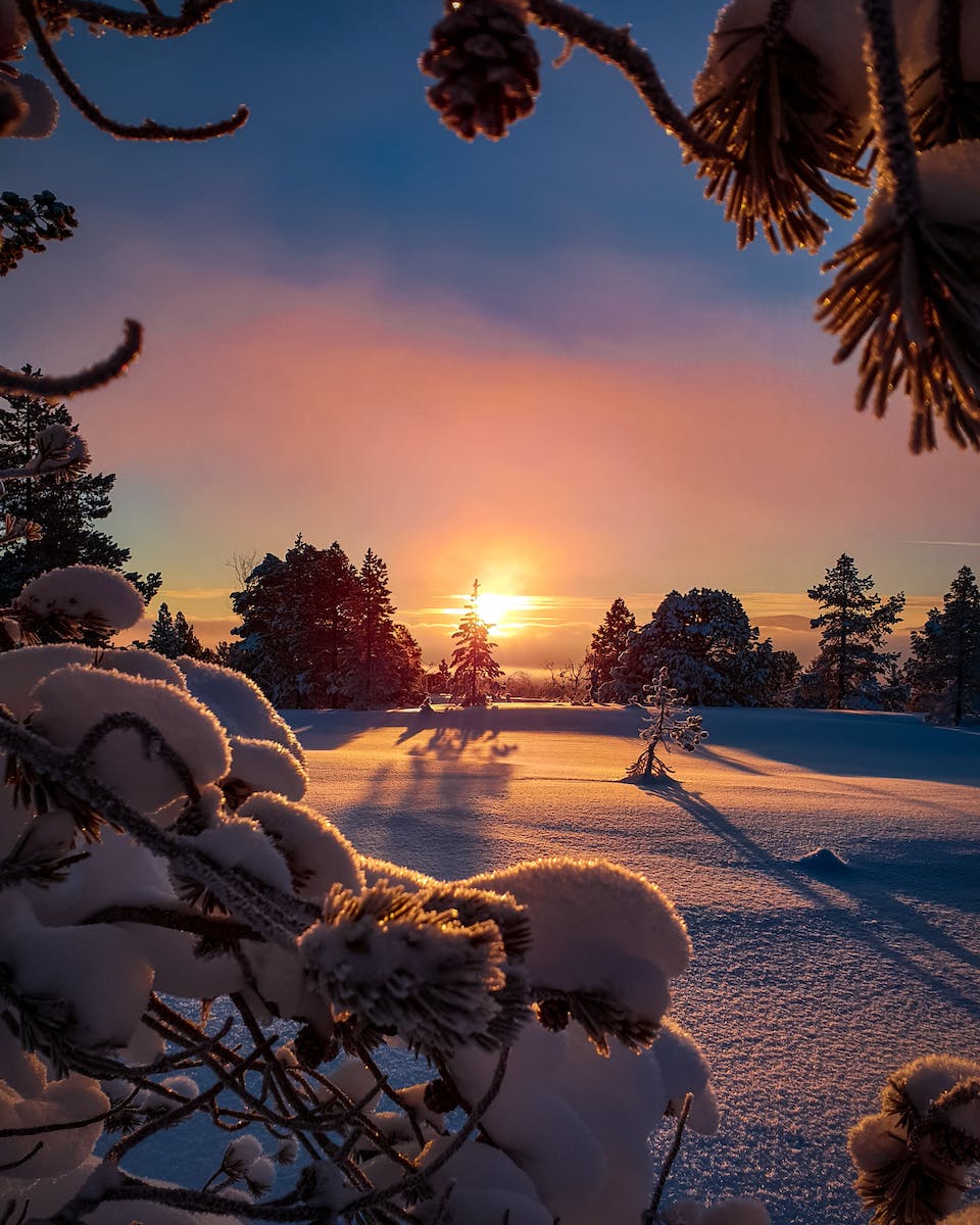 Field Covered With Snow during Sun Rise