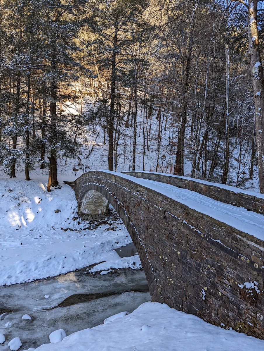 a stone bridge over a stream in a snowy forest
