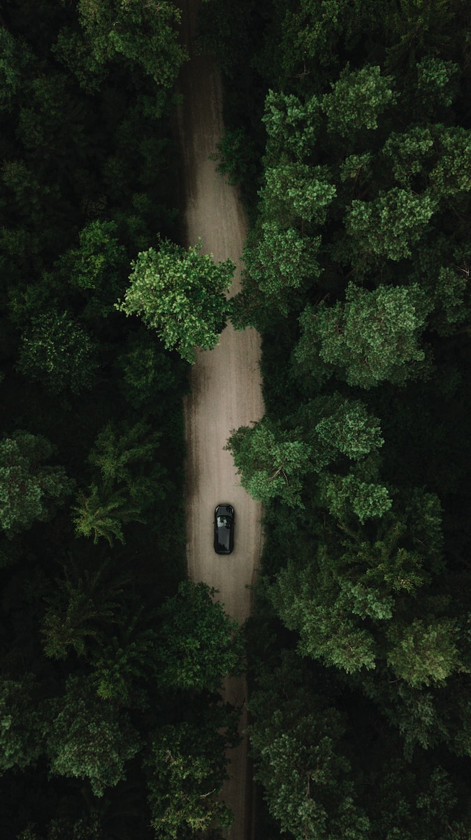 black car on road near green trees during daytime