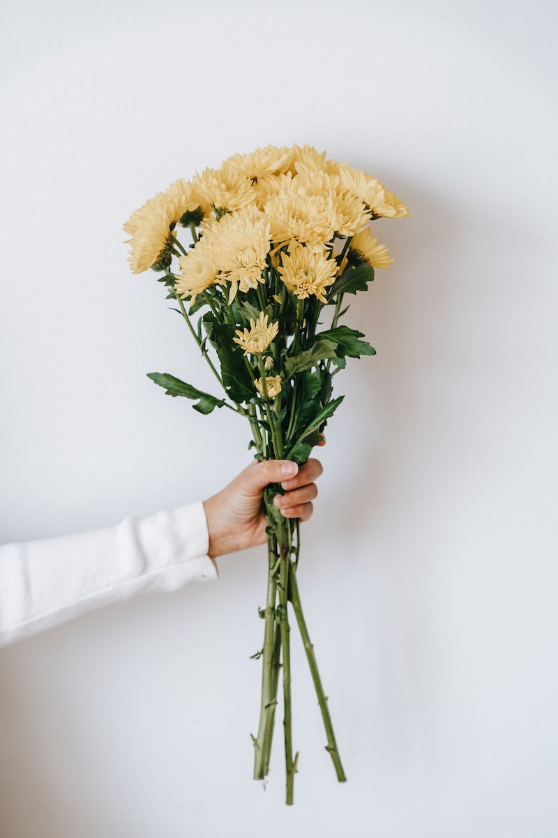 Crop unrecognizable person showing blossoming yellow flowers with gentle petals on thin stems with curved leaves