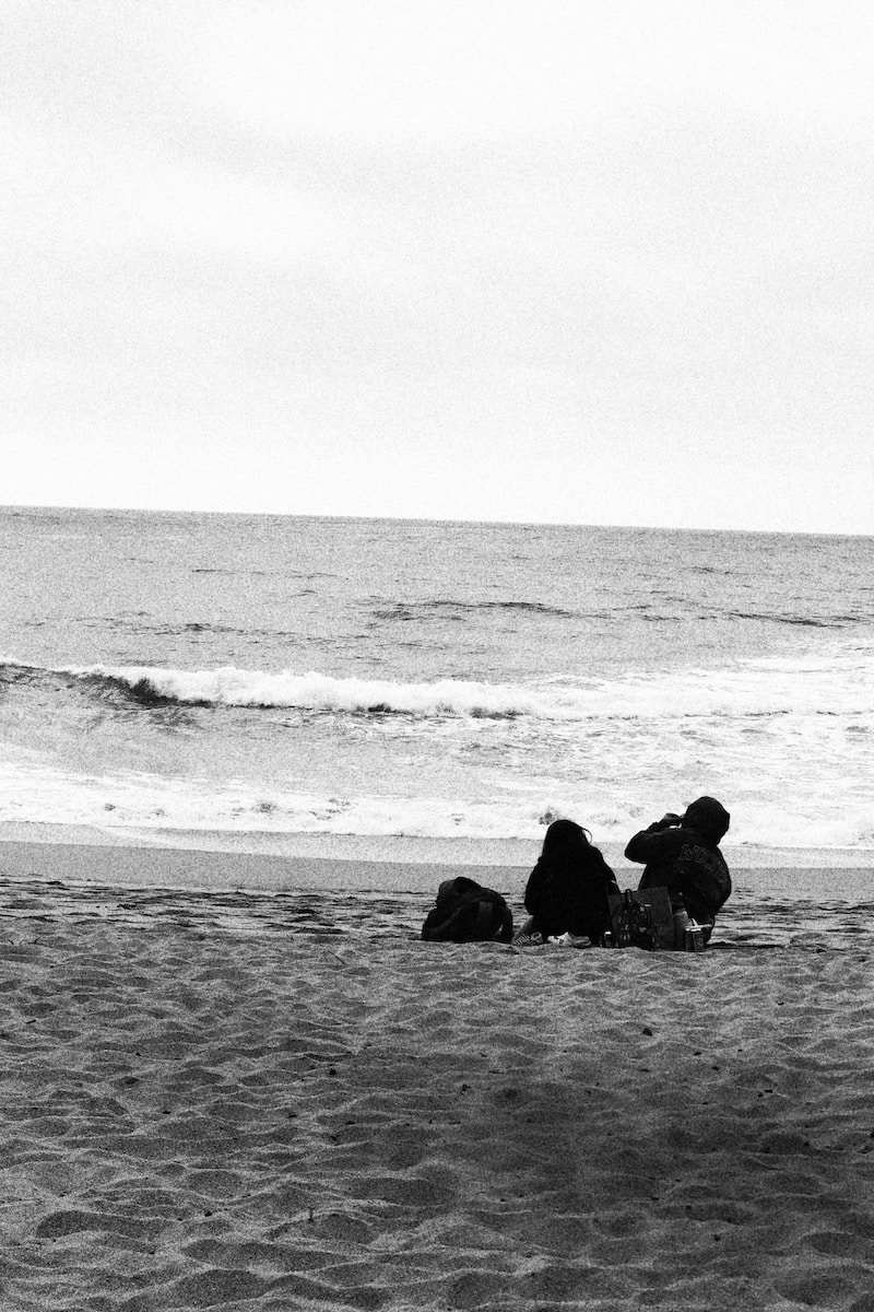 a group of people sitting on a beach looking at the ocean
