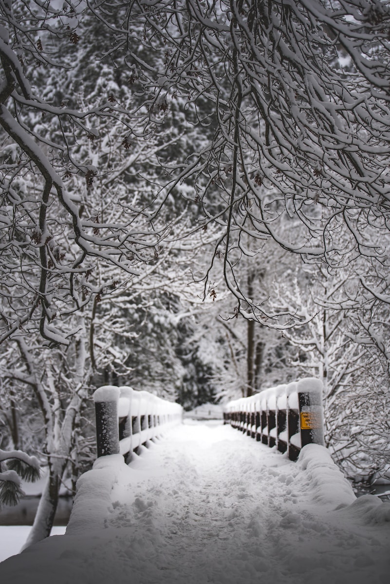 snow covered metal footed bridge in grayscale photography