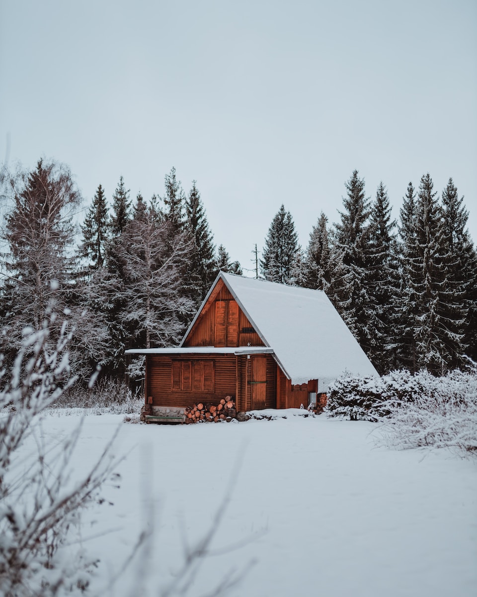 brown wooden house, field, and trees covered with snow