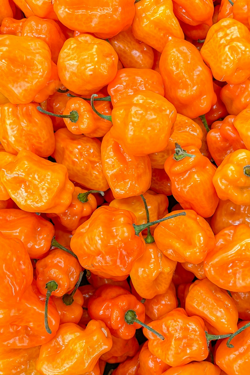 a pile of orange peppers sitting next to each other