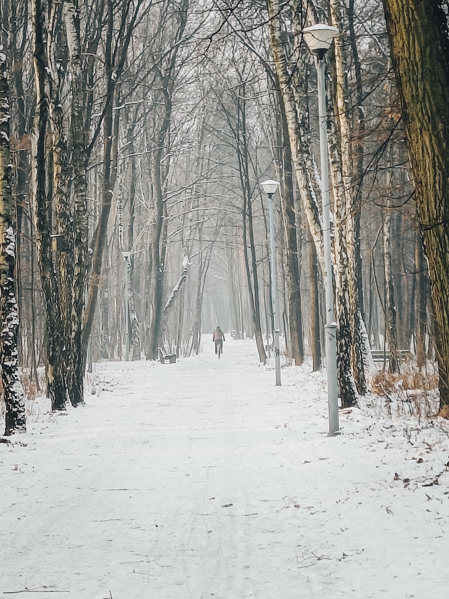 a person walking down a snowy path in the woods