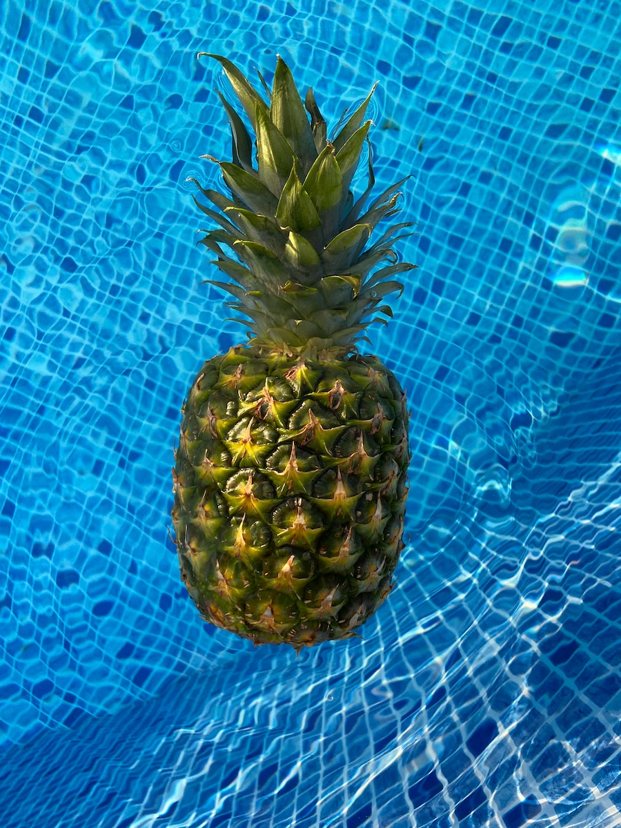 pineapple on water during daytime