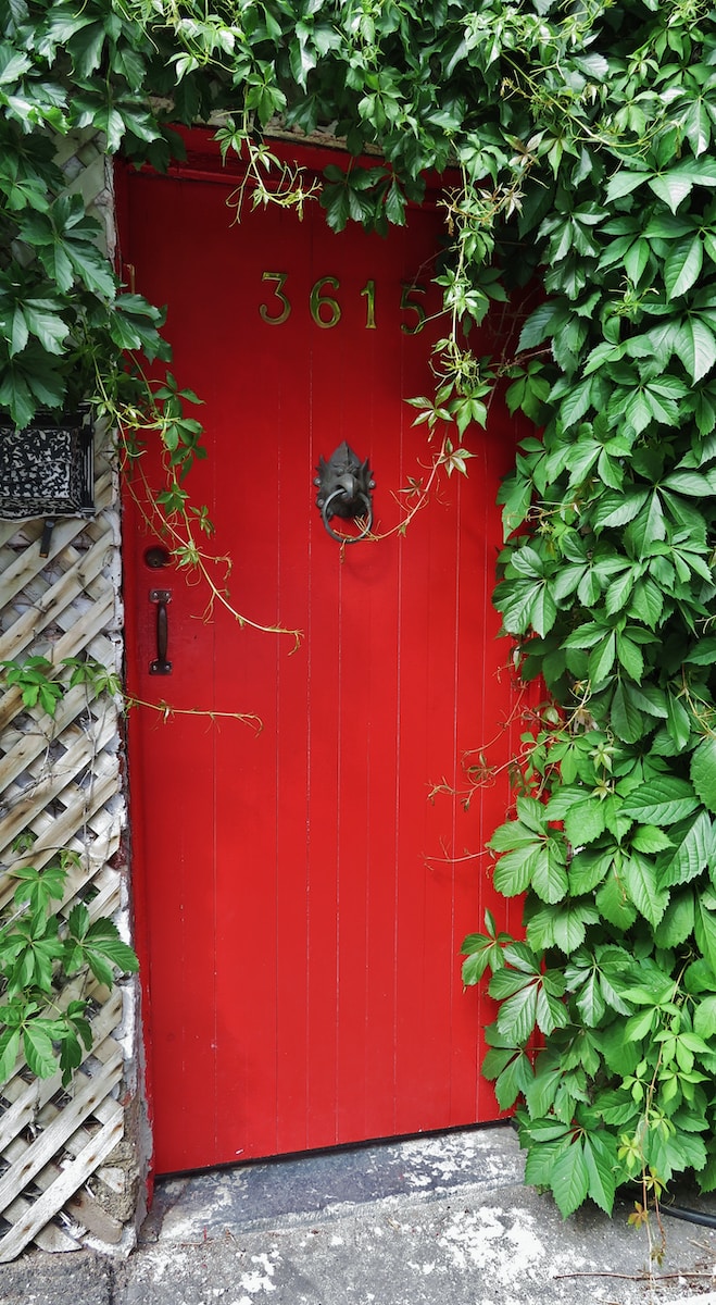 red wooden door with green leaves