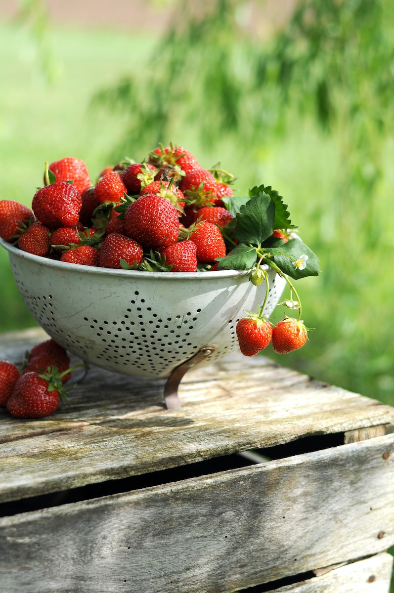 a white colander filled with lots of ripe strawberries