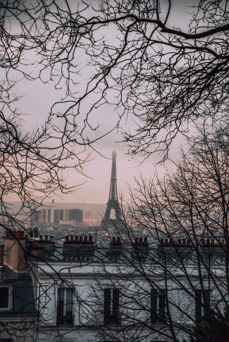 Eiffel Tower, Paris photo