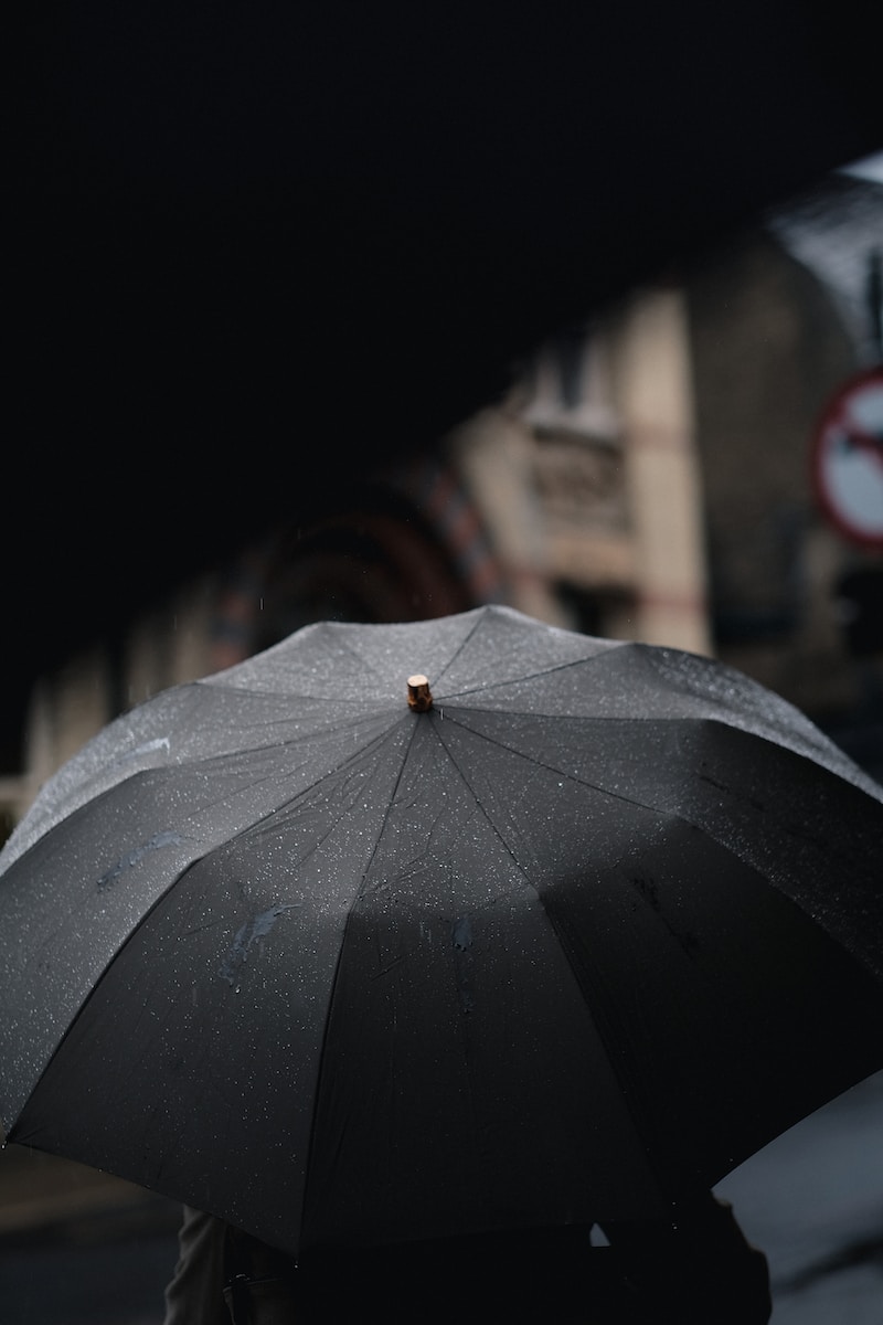 person under black umbrella