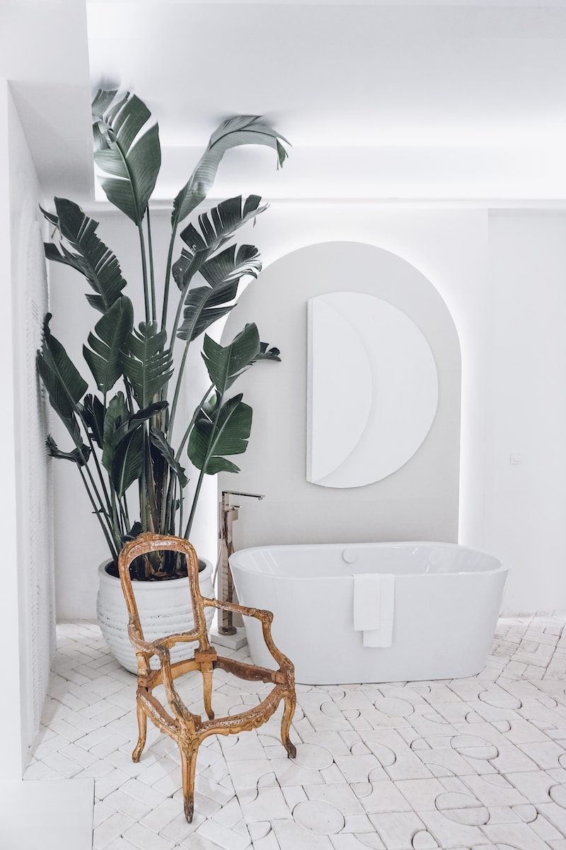a white bathroom with a plant and a bathtub