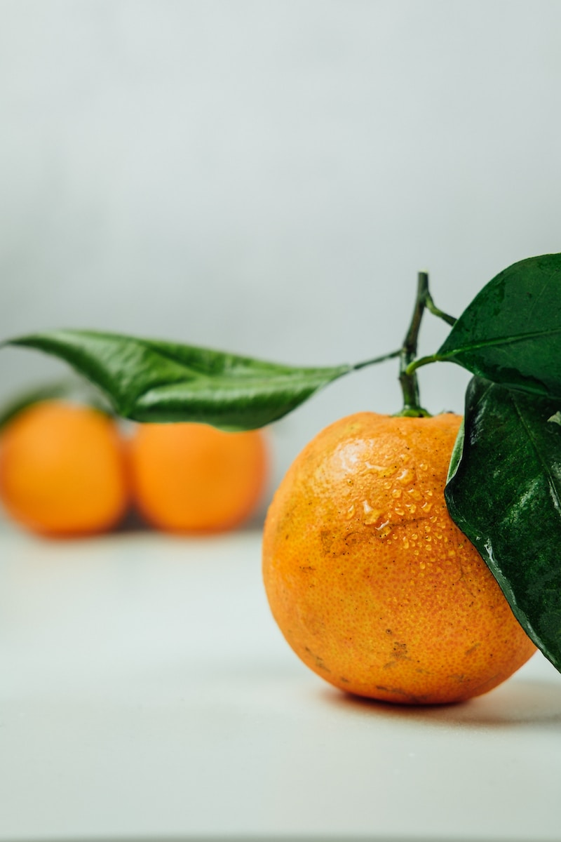 selective focus photography of round orange fruit