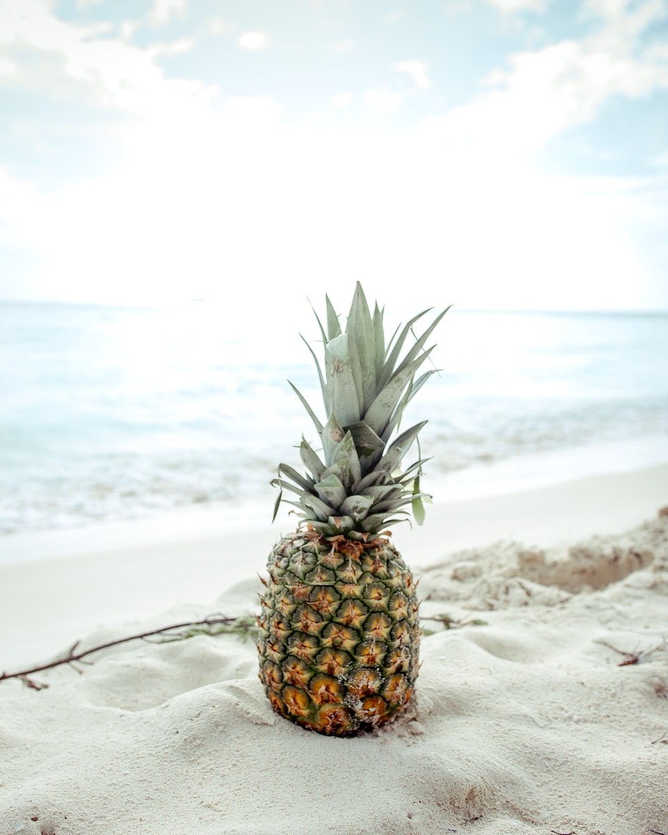 pineapple fruit on the sand