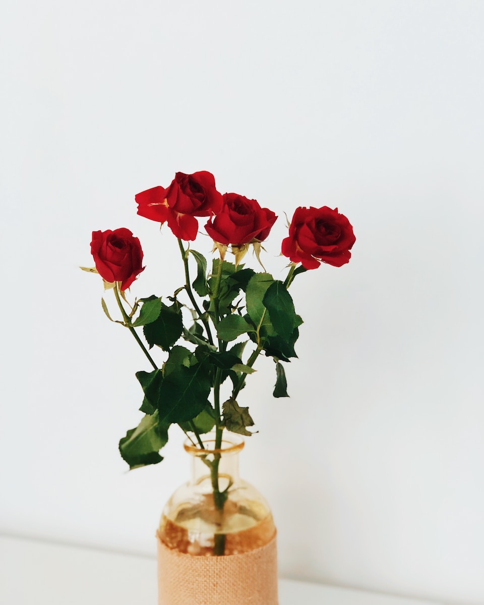 four red roses on clear glass vase