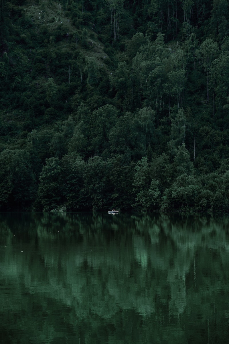 white boat on body of water