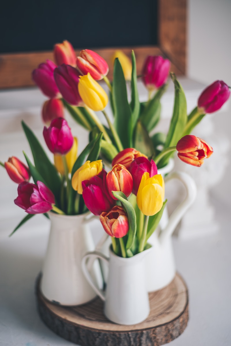 red and yellow tulips in white ceramic vase
