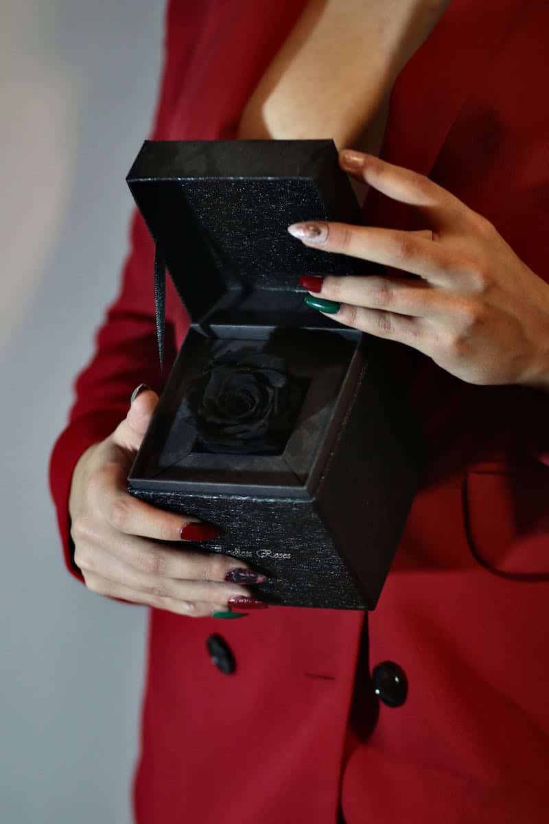 Person Holding a Box with Black Rose