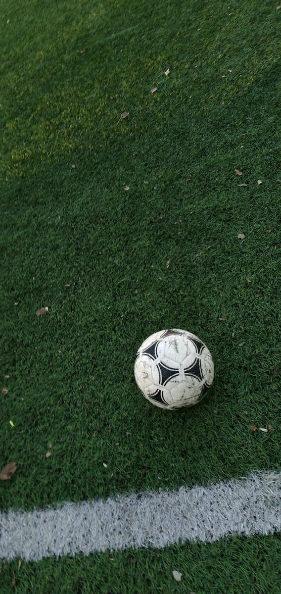 white and black soccer ball on grass