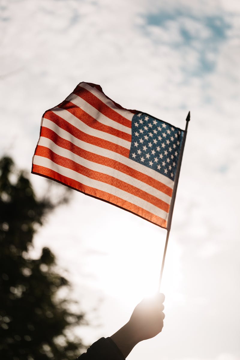 Low angle of crop faceless person holding spiky stick with flag of USA under cloudy sky and tree in back lit on blurred background