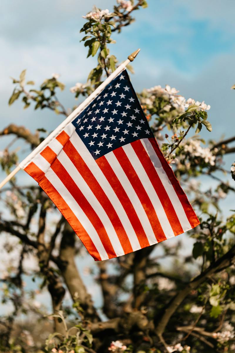 Flag of USA near blooming bush under cloudy sky