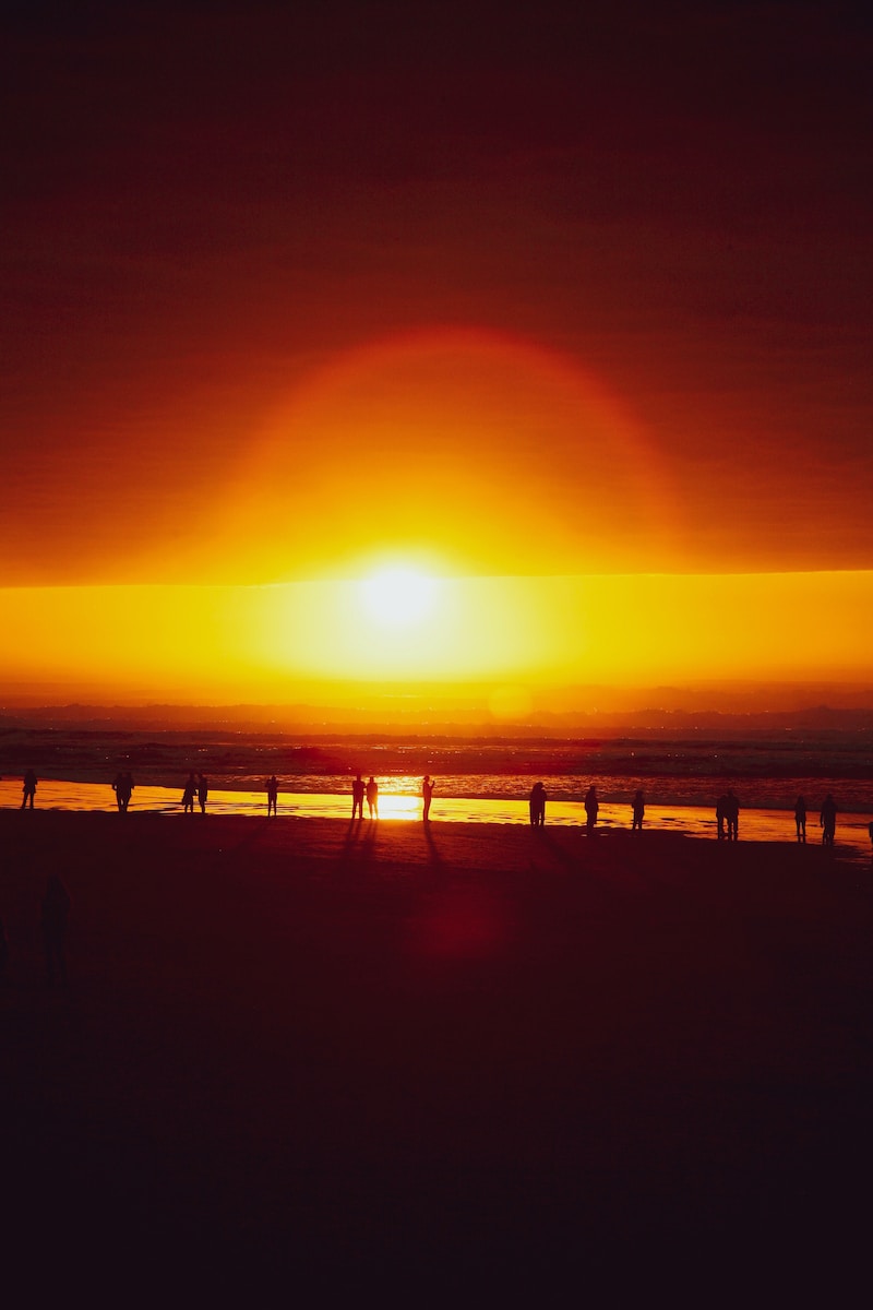 silhouette of people walking seashore during sunrise