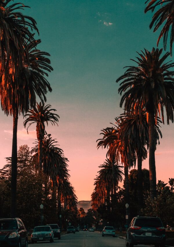100+ Los Angeles Wallpapers That Show The Beauty Of LA