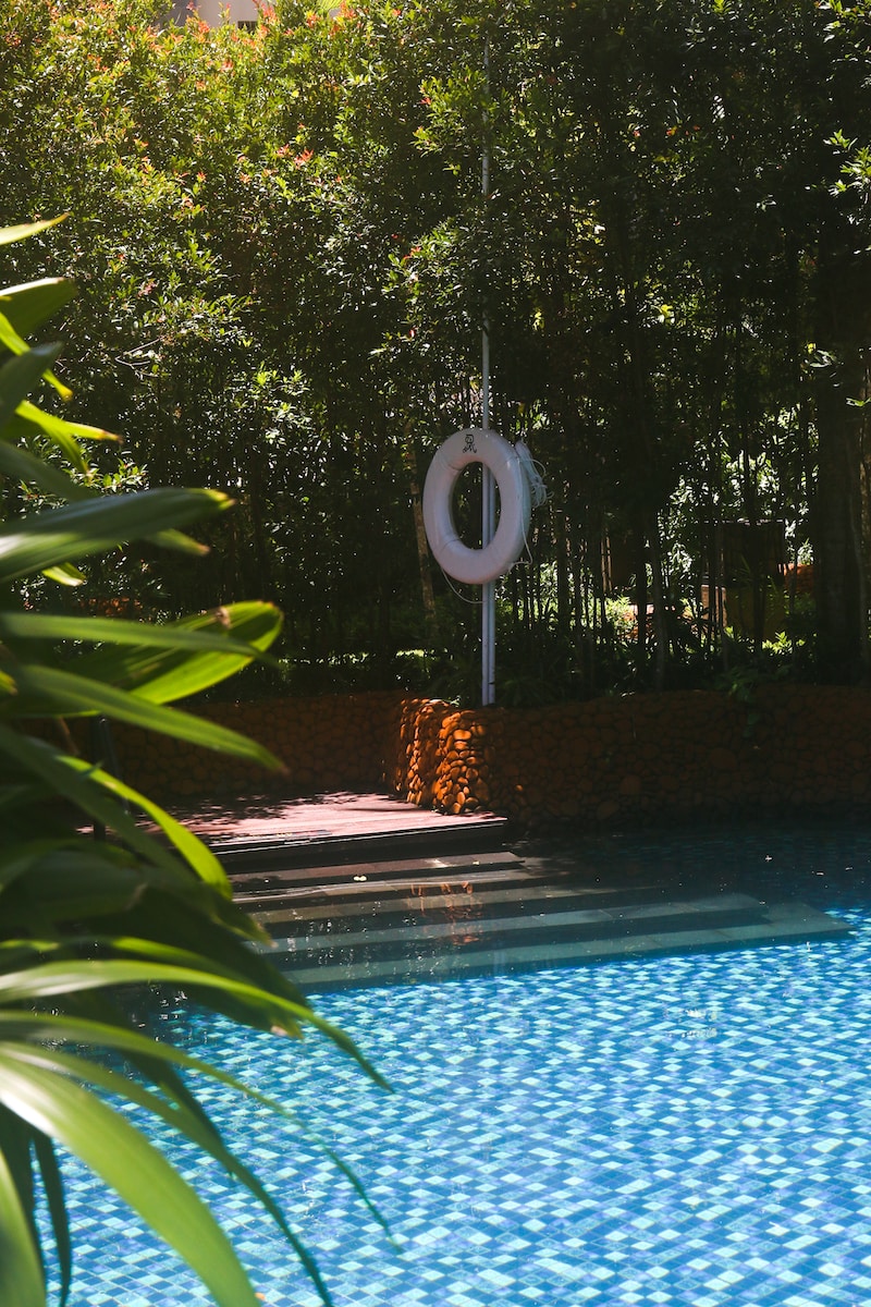 a pool surrounded by trees and bushes
