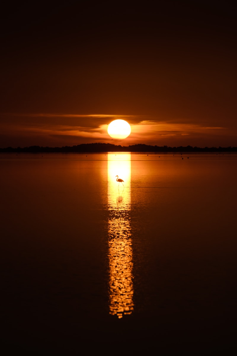 a large body of water with a sunset in the background