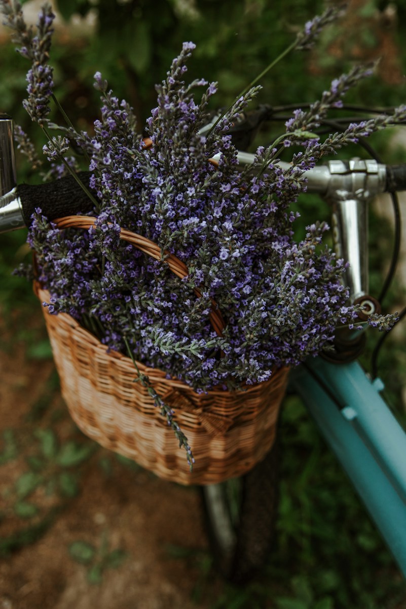 purple flowers in brown woven basket